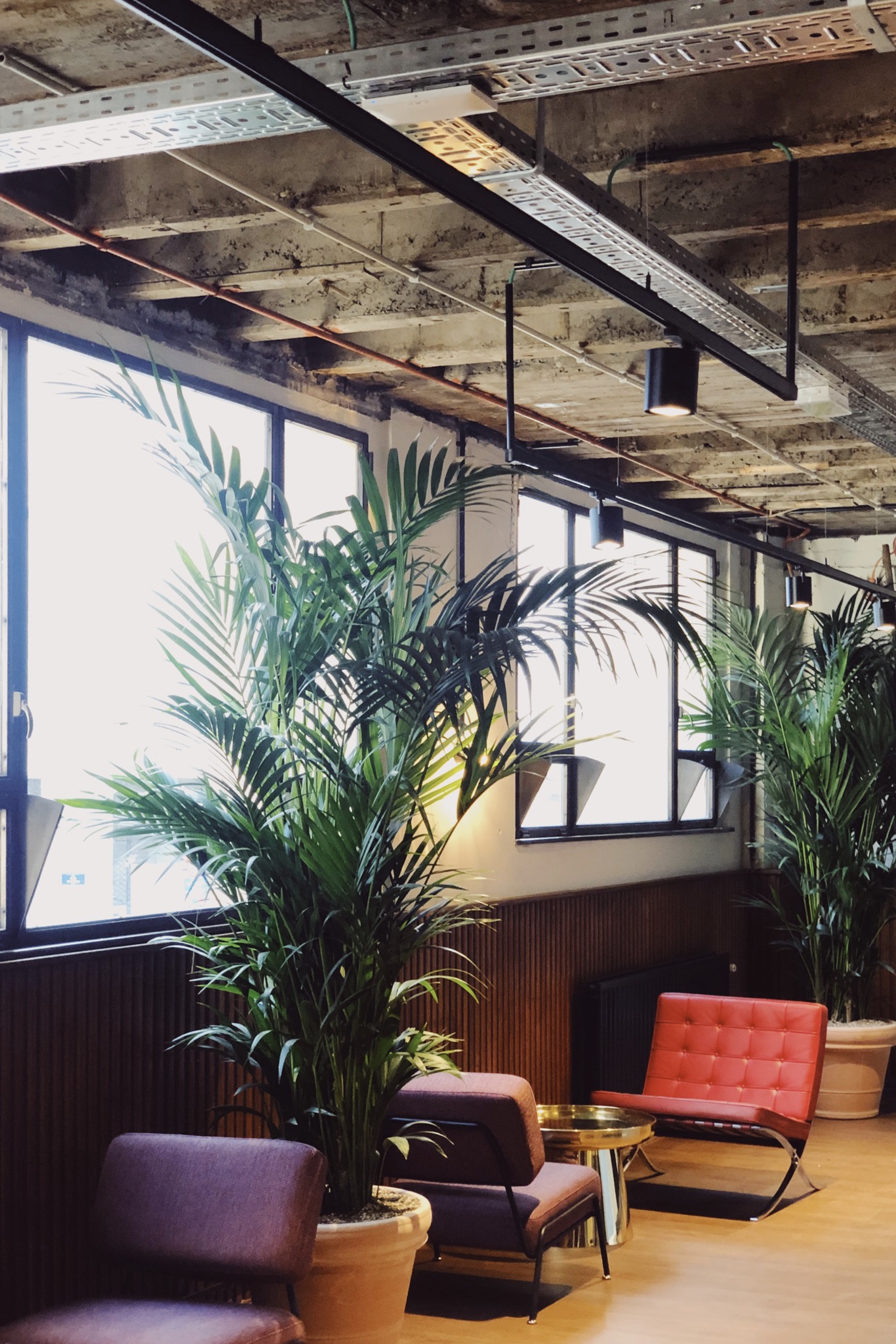 rénovation bureaux espace informelle plafond en béton apparent