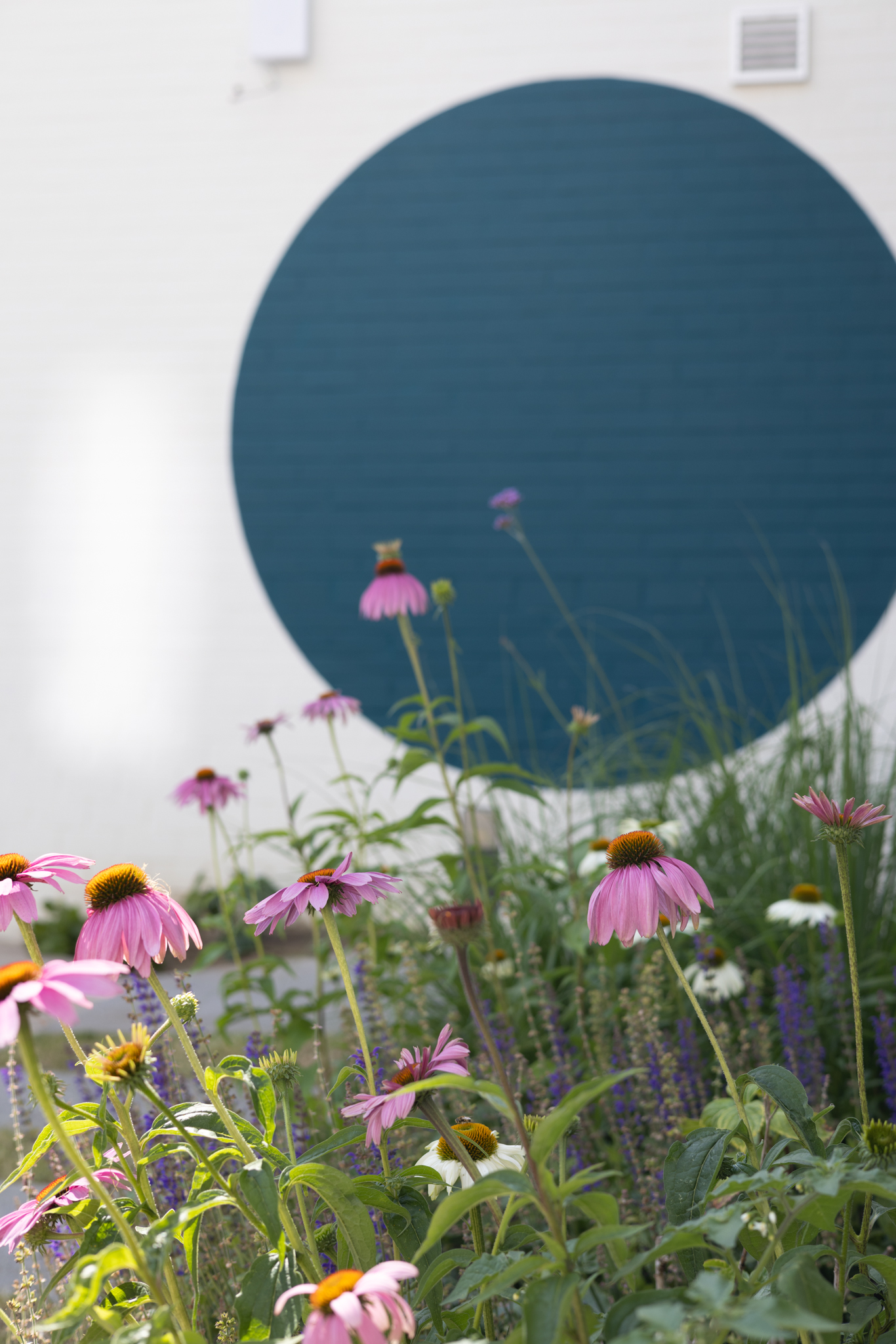 rénovation Co living, cercle sur un mur de façade