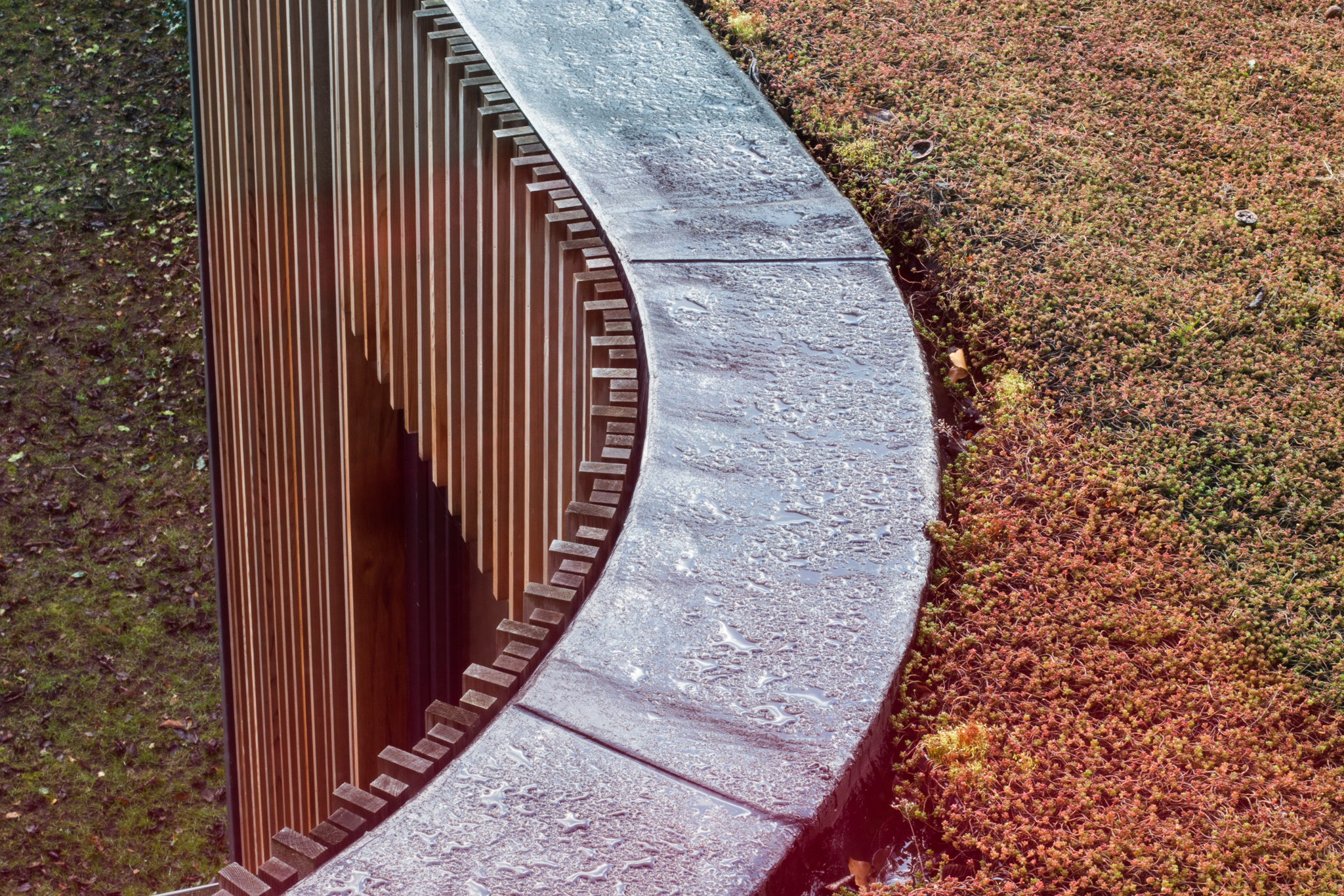 détail façade toiture verte