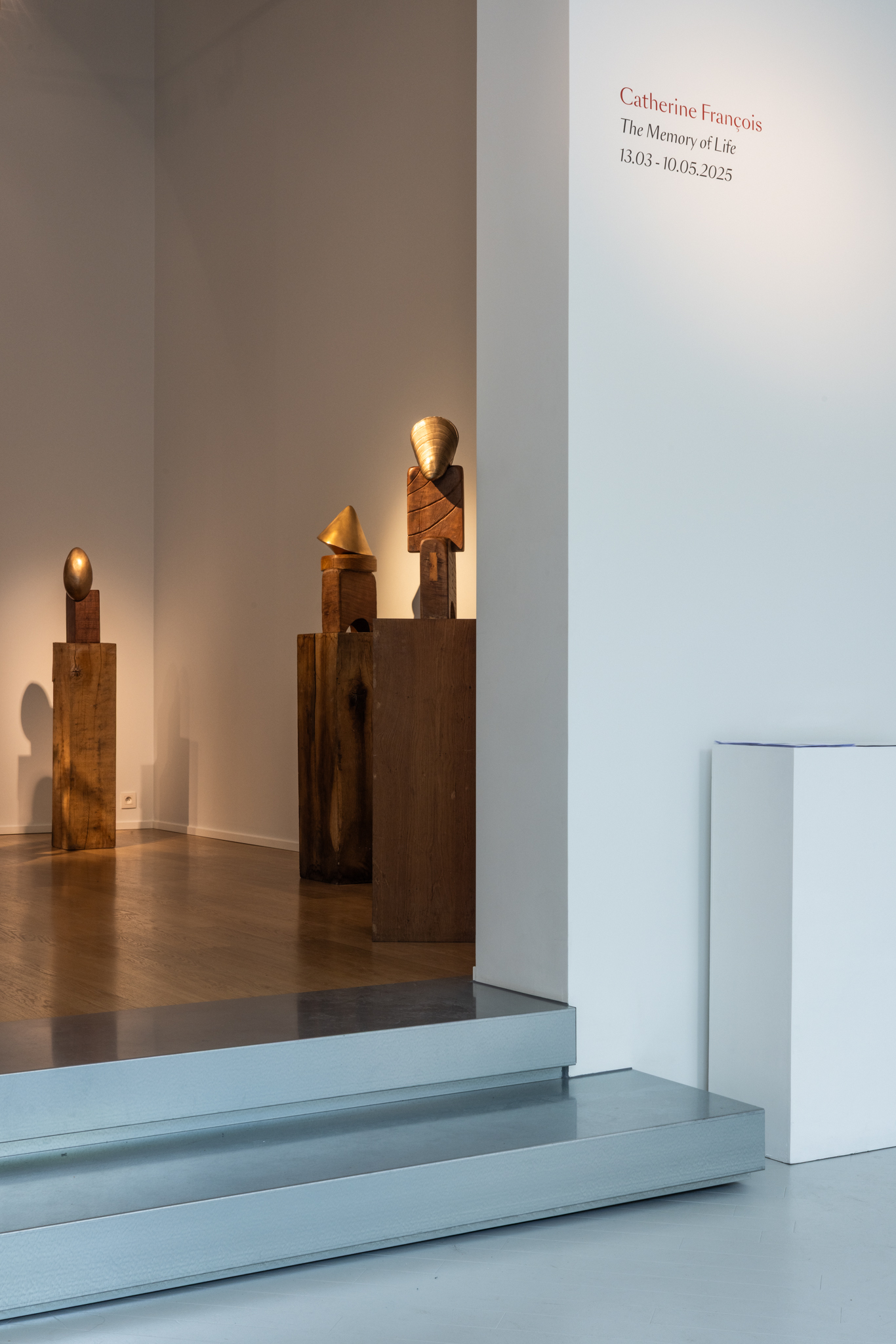 Arche monumentale et marches en acier galvanisé dans galerie rénovée