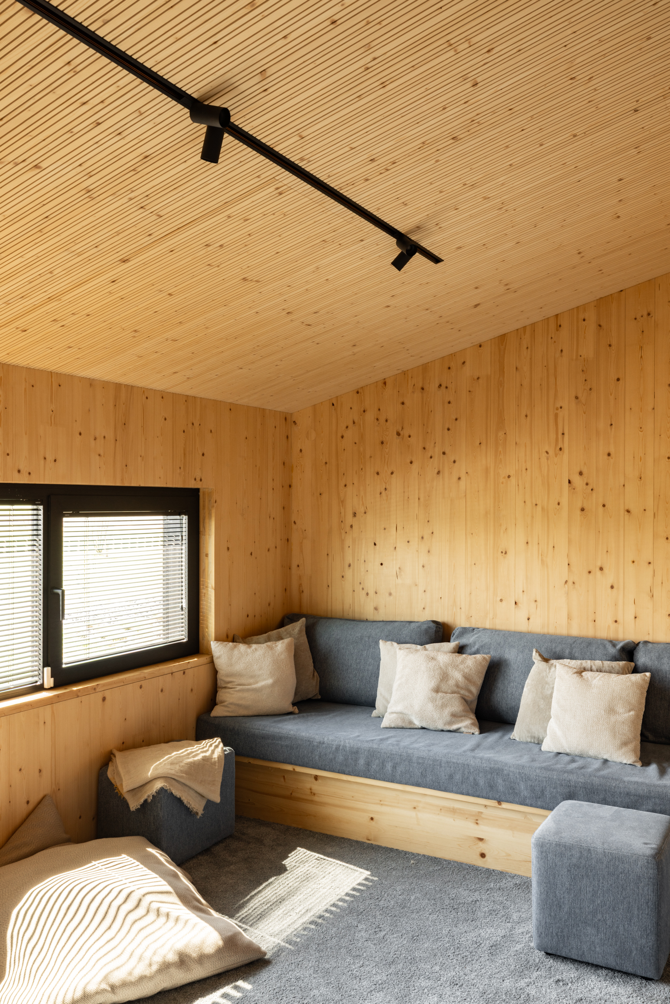 Salon TV avec murs en CLT et plafond acoustique intégré