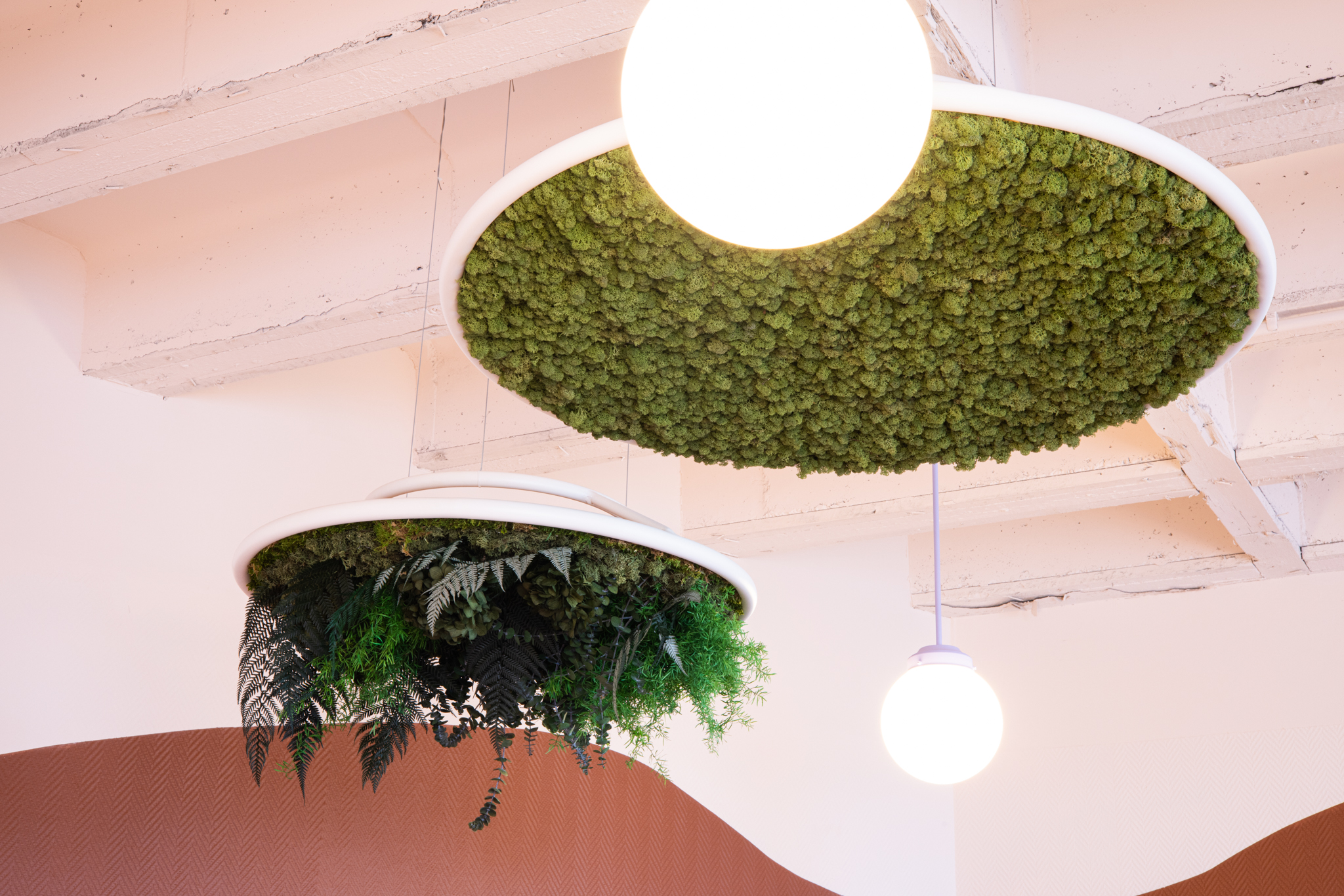 aménagement bureau aux couleur naturels, panneaux acoustiques en plantes stabilisées GreenMood